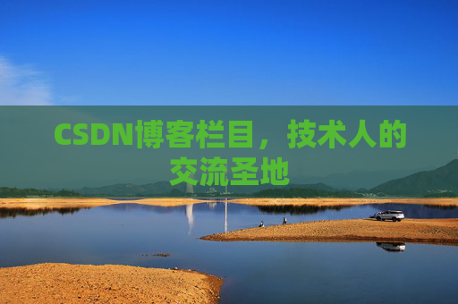 CSDN博客栏目，技术人的交流圣地